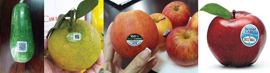 in tem dán trái cây