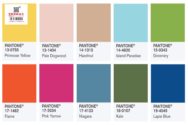 Tìm Hiểu Về Màu Pantone Trong In Ấn Và Các Bảng Màu Của Nó